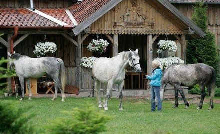 Agroturystyka nie jest działalnością rolniczą