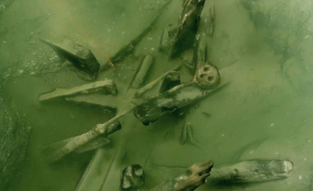 Badacze z Narodowego Muzeum Morskiego planują stworzyć trójwymiarową dokumentację archeologiczną wsz