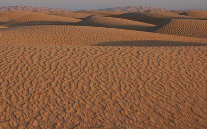 Panele słoneczne zaleją arabską pustynię