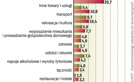 Największą wagę mają żywność i napoje alkoholowe oraz koszty związane z użytkowaniem mieszkania.