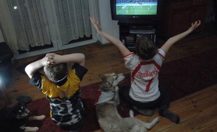 Sport najlepiej oglądany w 2014 roku