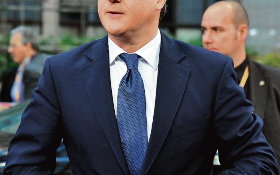 David Cameron, konserwatywny brytyjski premier