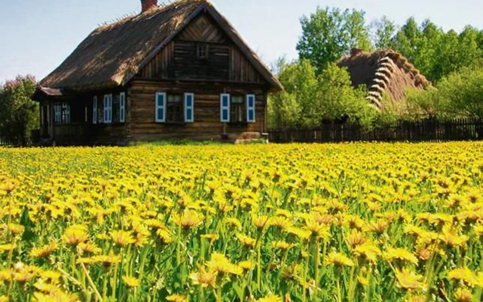 Jedna z chałup w Podlaskim Muzeum Kultury Ludowej.