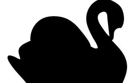 W poszukiwaniu „Czarnego Łabędzia”