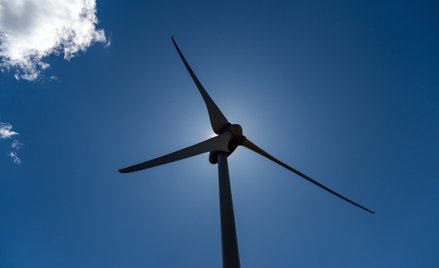 Firmy oczekują aukcji dla morskich wiatraków w tym roku