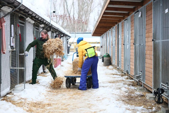 W ostatnich miesiącach Schronisko na Paluchu przeszło szereg modernizacji mających na celu poprawę w