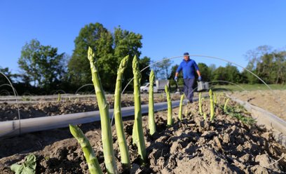 Niemieccy rolnicy domagają się obniżenia stawek wynagrodzeń dla pracowników sezonowych