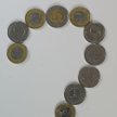 Co trzeba ujawnić na temat jednego segmentu sprawozdawczego