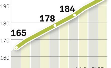 Deficyt cukru wystapi w 2009 i 2010 r. W kolejnych latach produkcja będzie rosła szybciej od konsump