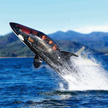 The Killer Whale Submarine, czyli dwuosobowa łódź podwodna