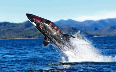 The Killer Whale Submarine, czyli dwuosobowa łódź podwodna