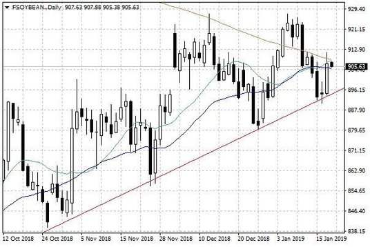 Notowania soi w USA – dane dzienne