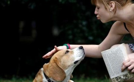 Na rzymskie wakacje pies zabierze paszport