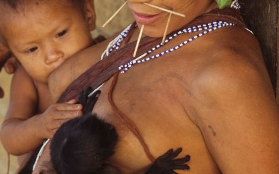 Średnia długość życia nie przekracza trzydziestu lat.