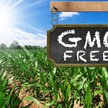 Znakowanie żywności wyprodukowanej bez GMO