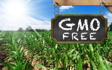 Znakowanie żywności wyprodukowanej bez GMO