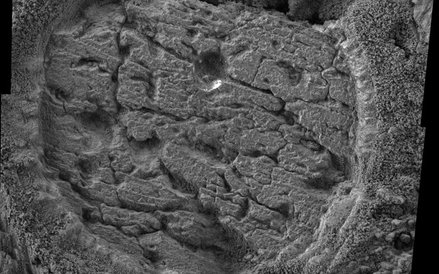 Ślad odciśnięty na powierzchni Marsa, na skale nazwanej "Manitoba" w kraterze "Endurance"