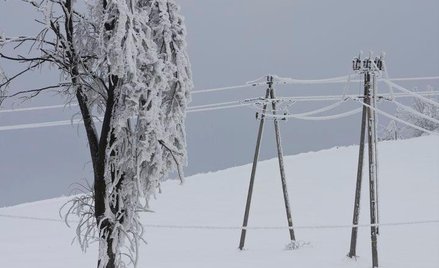 KPMG doradzi przy sprzedaży gdańskiej Energi