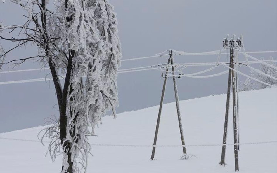 KPMG doradzi przy sprzedaży gdańskiej Energi