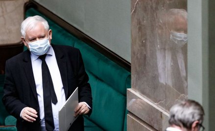 Zuzanna Dąbrowska: Do władzy po grzbietach norek