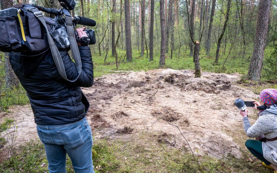 Miejsce uderzenie pocisku w lesie w rejonie Zamości, pod Bydgoszczą