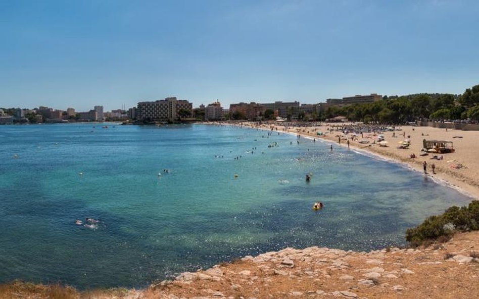 Palma