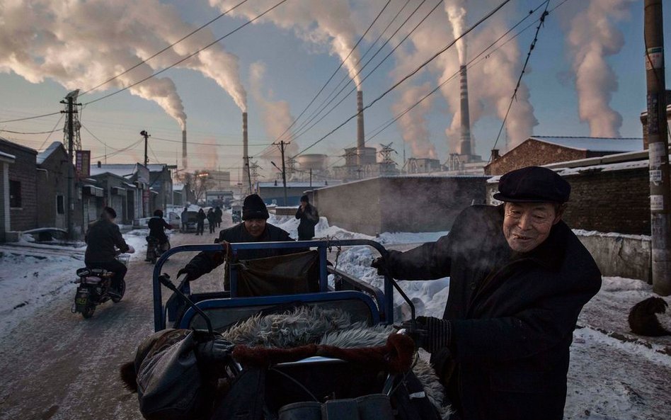Życie codzienne - zdjęcie pojedyncze - pierwsza nagroda
