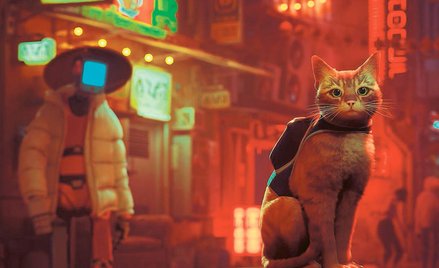 „Stray”: Kotem być