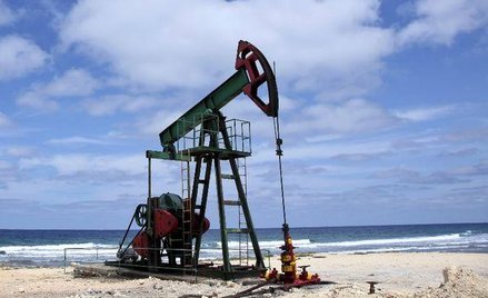 Ropa u brzegów Kuby