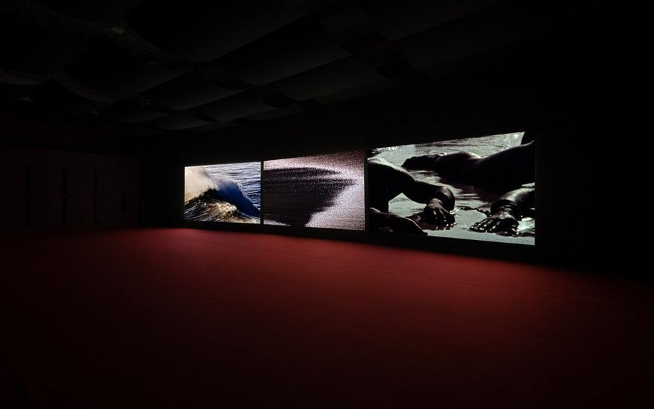 Alienacje albo następnym razem pożar, widok wystawy