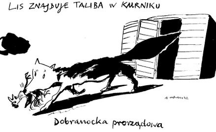 Komentarz rysunkowy. Lis