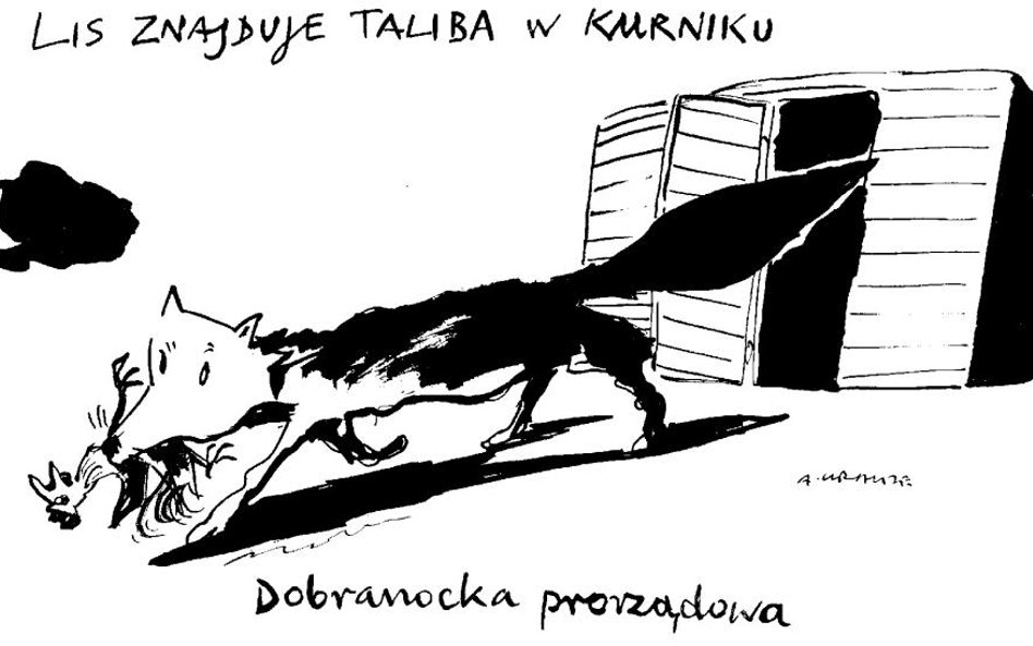 Komentarz rysunkowy. Lis