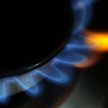 W styczniu 2016 roku łączne wolumeny obrotów na wszystkich rynkach Towarowej Giełdy Energii były zna