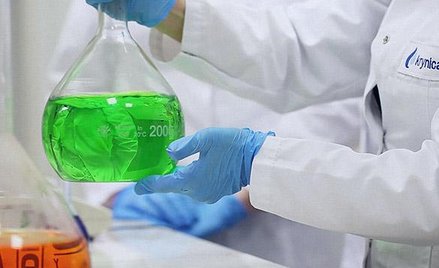 Krynica Vitamin: historyczny rok trwa w najlepsze