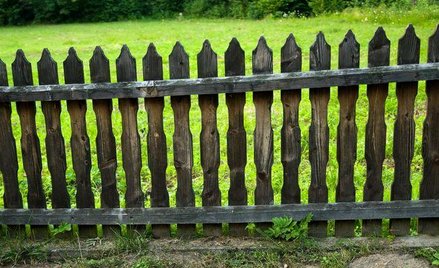 Mapy nie zawsze decydują o granicy działki