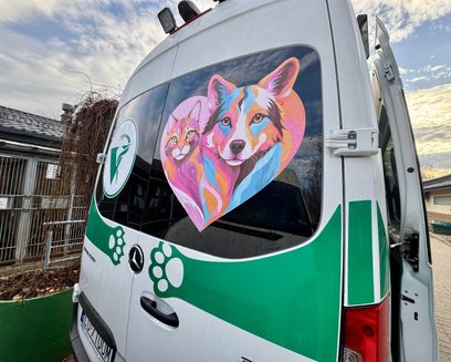 Schronisko dla Bezdomnych Zwierząt „Na Paluchu” w Warszawie wprowadziło do użytku pierwszą w kraju s