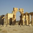 Palmyra