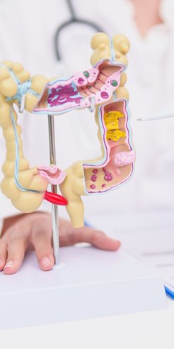 Nowe odkrycie badaczy to zidentyfikowanie białka nukleofosminy (NPM1) jako istotnego elementu w proc