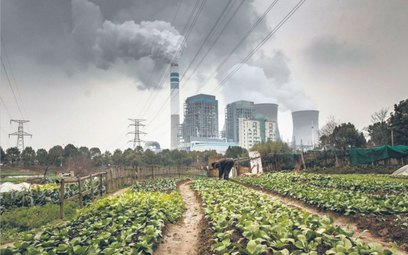 Uprawy w cieniu elektrowni węglowej w mieście Tongling w prowincji Anhui. Chiny odpowiadają za 28 pr