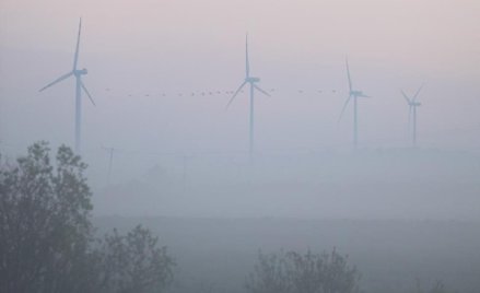 Powstanie największa farma wiatrowa na świecie