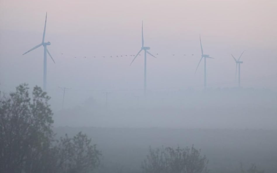 Powstanie największa farma wiatrowa na świecie