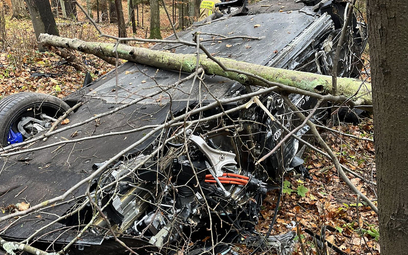 Test elektrycznego Audi zakończył się dachowaniem w lesie