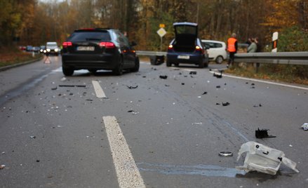 Czujnik inspirowany instynktem owadów. Ma zapobiegać wypadkom samochodowym
