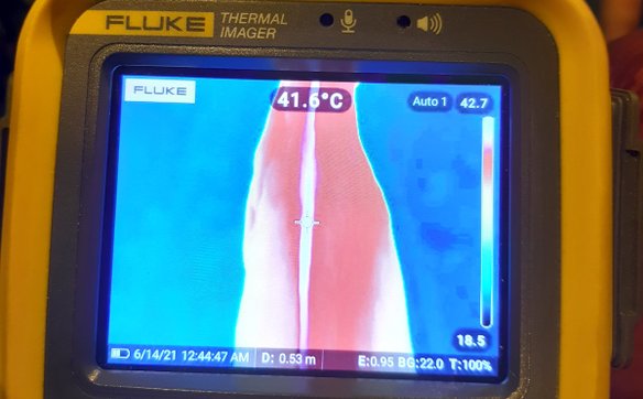 W trakcie bardzo krótkiego kwitnienia dziwidło w swoim kwiatostanie podnosi temperaturę i roznosi in