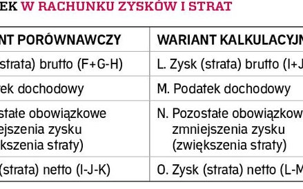 PODATEK W RACHUNKU ZYSKÓW I STRAT