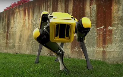 Psy-roboty będą pilnować baz wojskowych. Są niezwykle wytrzymałe