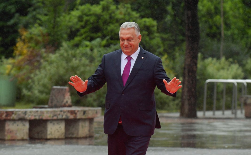 Edit Zgut-Przybylska: Jak machina władzy Orbána pękła od wewnątrz