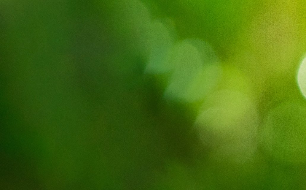 Europa staje na rzęsach, a reszta co. Razem dla ESG