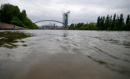 Europa liczy straty po powodzi