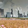 W ostatnich dniach do rządu wchodzą energetyczne wygi